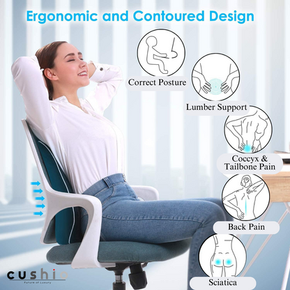 CUSHIO Memory Foam Lumbar Pillow & Coccyx Seat Cushion Combo | Lower Back and Coccyx Support for Long Sitting Hours on Car Seat, Office/Home Chair (Black)